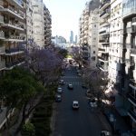 drone_jacaranda_2018_dji_0643