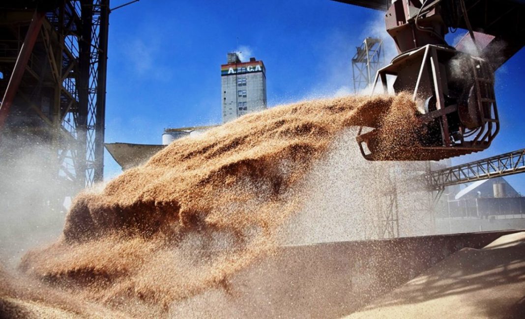 agroexportacion-1140x694