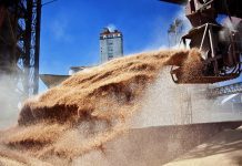 Conflicto en Medio Oriente: el shock energético impulsa granos y abre una ventana para Argentina