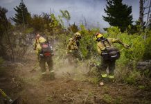 Chubut: se mantiene la lucha contra los incendios forestales