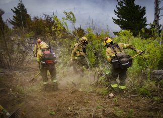 Chubut: se mantiene la lucha contra los incendios forestales