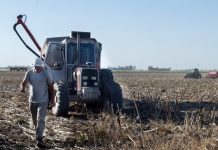 Sequía en el centro del país y cosecha récord en juego: el clima empieza a sostener los precios
