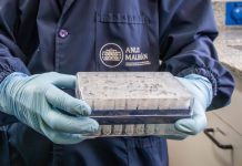 Hantavirus en el buque MV Hondius: Argentina asiste a cinco países con insumos de diagnóstico